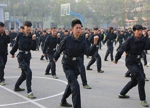 警体拳训练表演